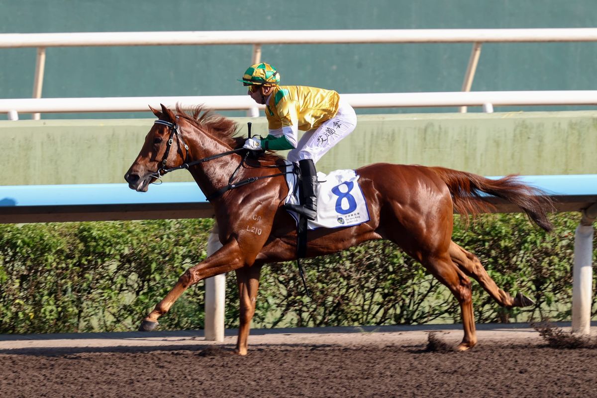 Avdulla confident Bustling City can complete hat-trick at Sha Tin
