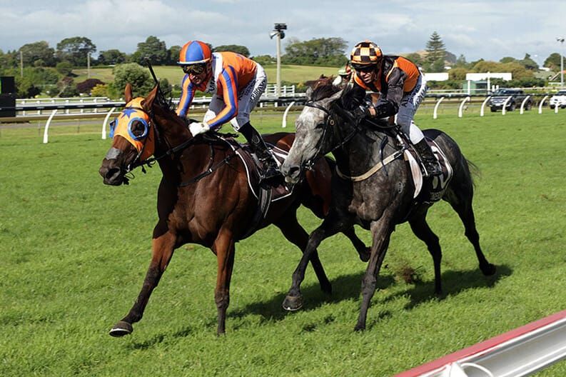 Melody Belle on target for Foxbridge Plate