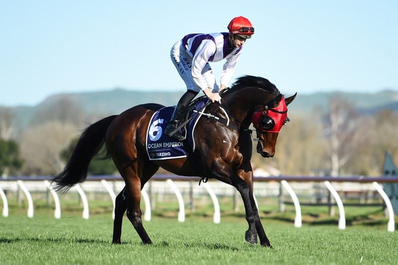 Emperor to stand at Weowna Park