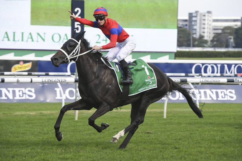 Kiwi’s take home Sydney spoils