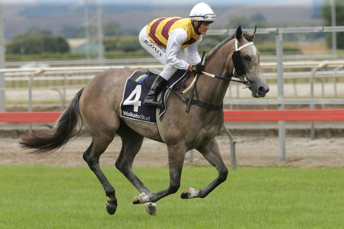 Aalaalune resumes at Ruakaka