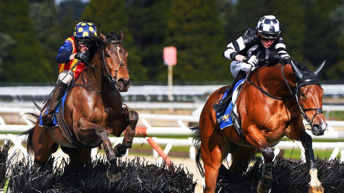 Maher has Grand Annual thoughts for Ablaze