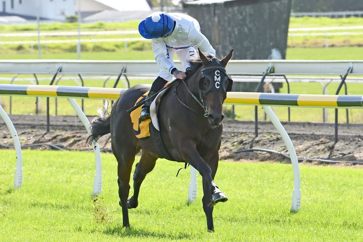 New focus at The Oaks Stud