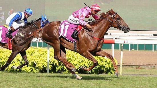 Baertschiger pulls off Incredible feat in Committee's Prize