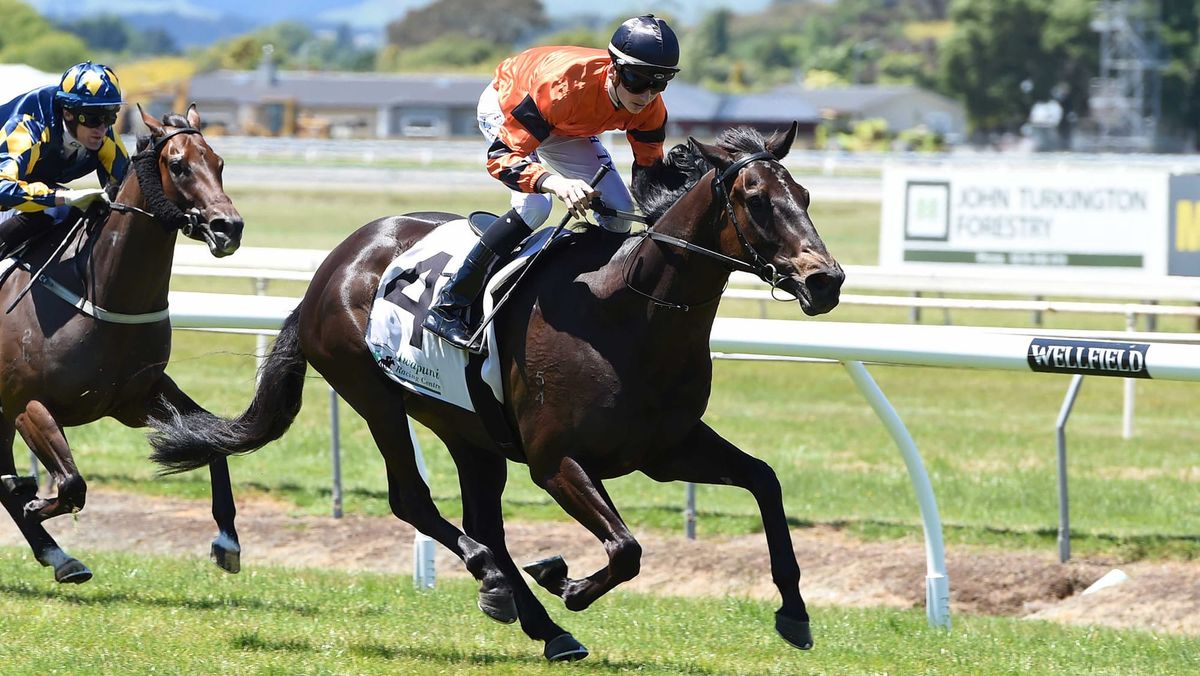 Another Riccarton milestone being considered