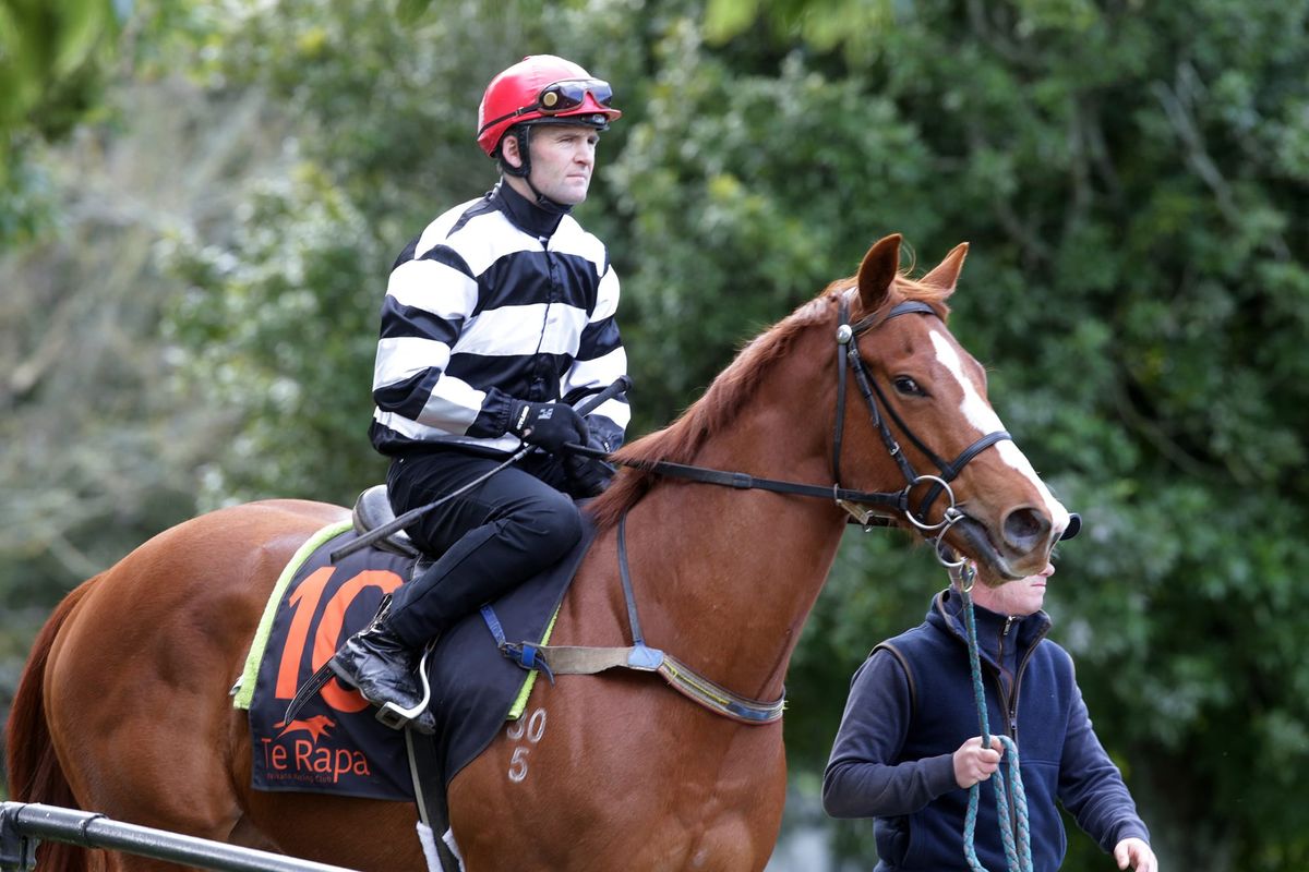 Promising dawn to new season for Ritchie