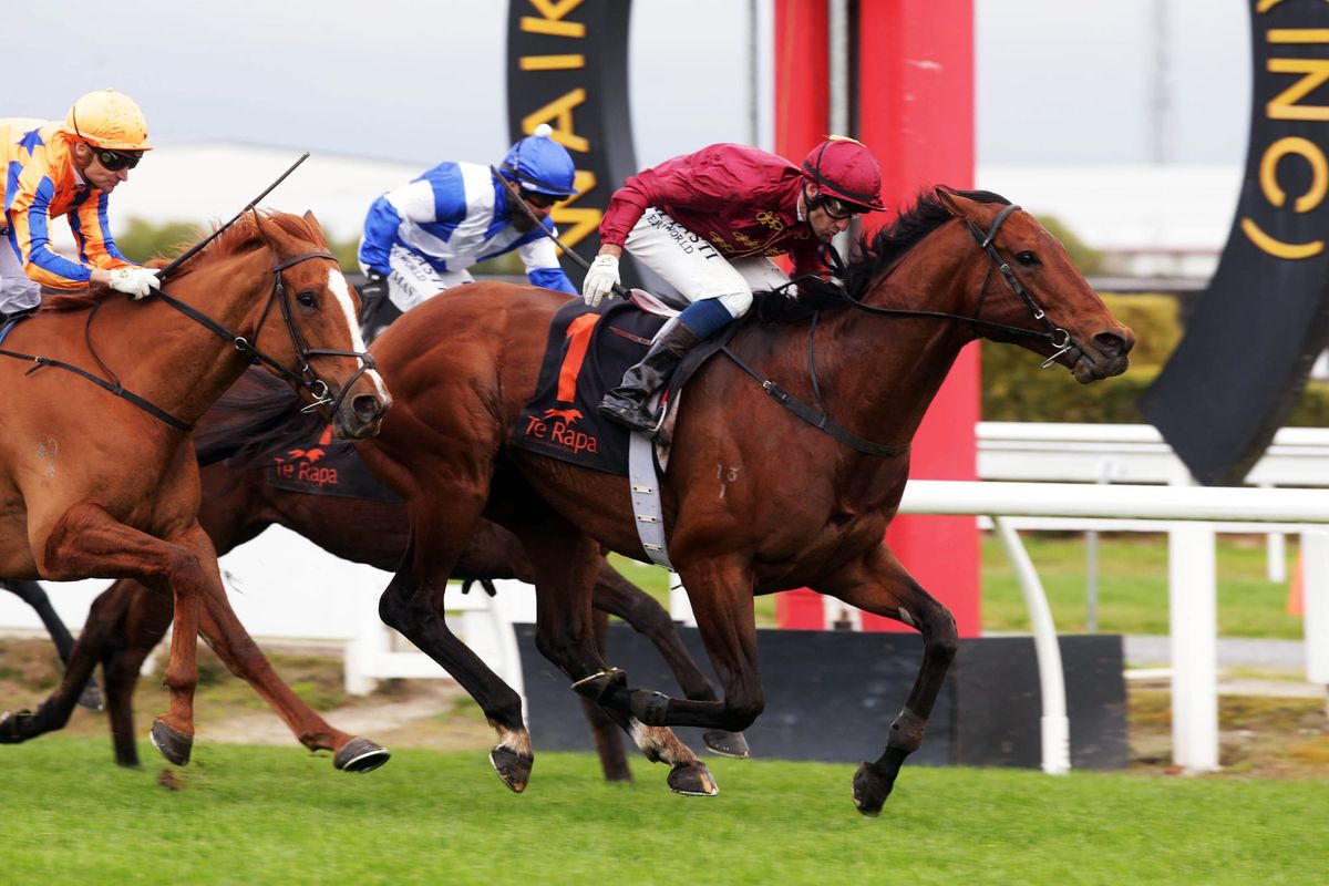 Endless Drama takes Foxbridge Plate