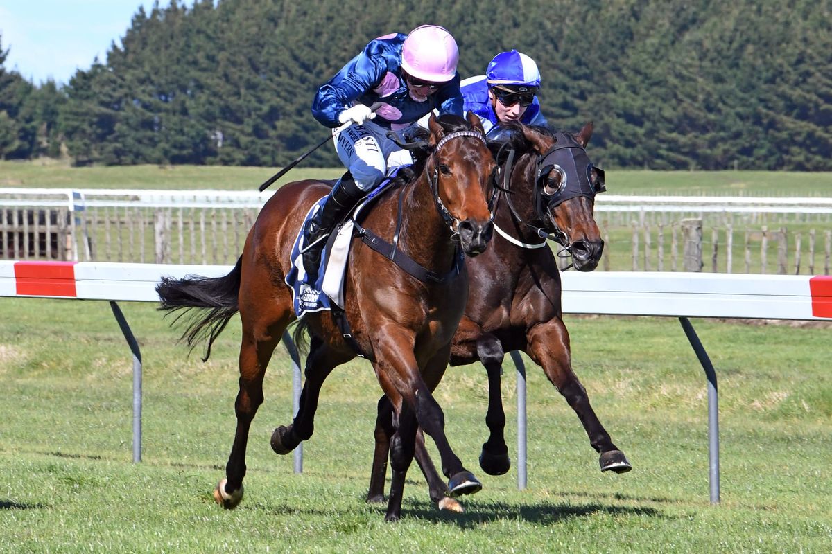 Thurlow scores local win with glamour filly