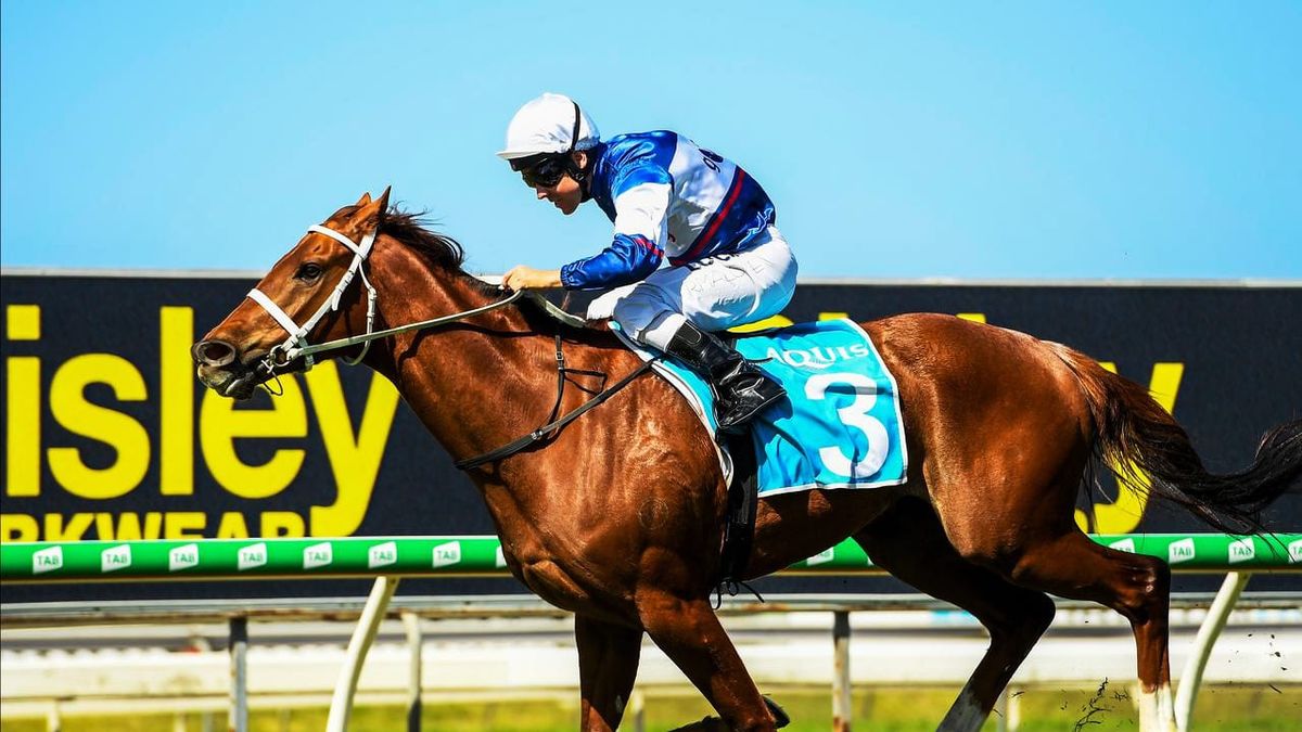 Ryan Maloney gets credit for Alward's win