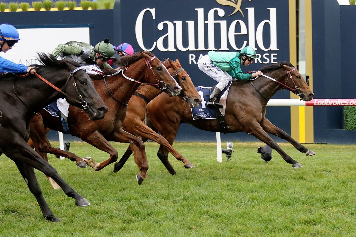 Humidor pleases with trial victory