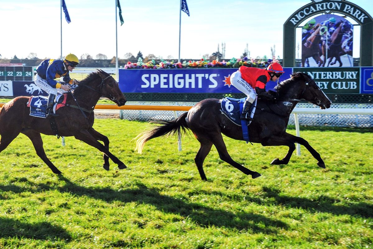 Wigley looking for two-pronged attack on filly features