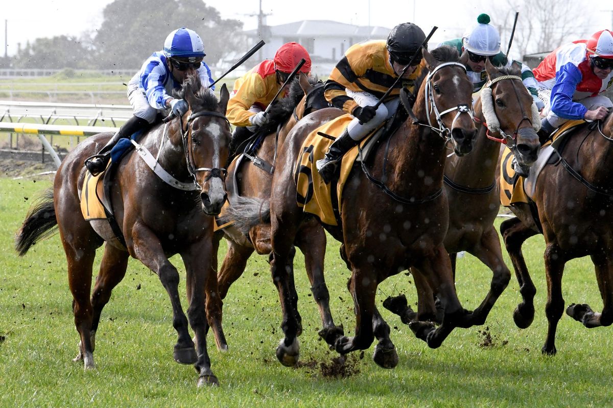 Local scores in New Plymouth feature