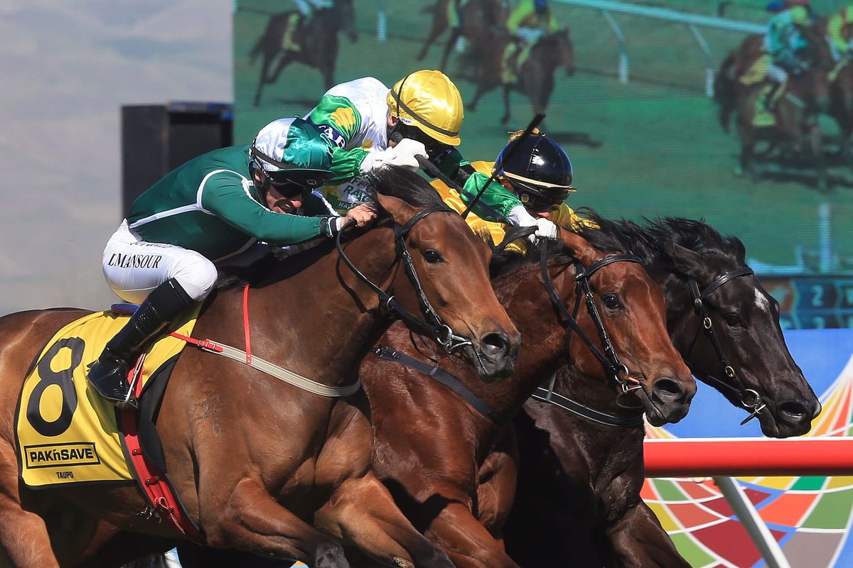 Kali remains unbeaten at Hastings