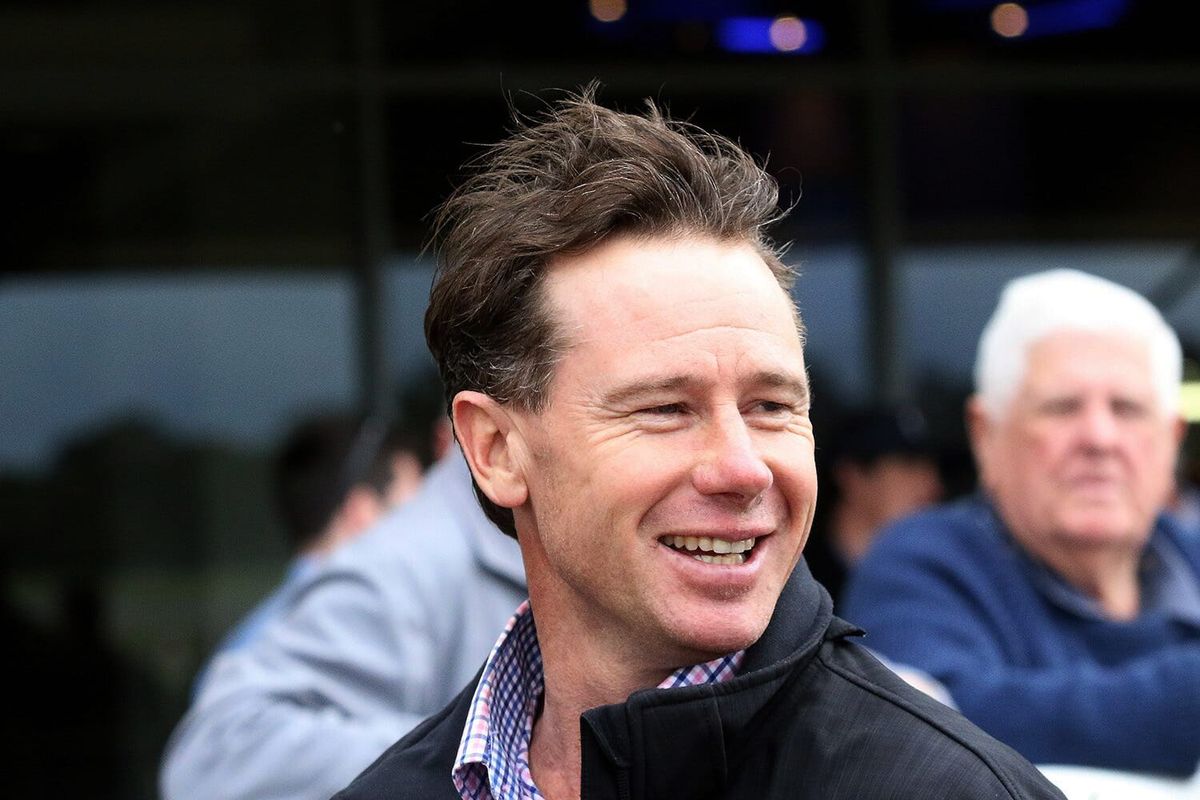 Something about Tavistock 4YO