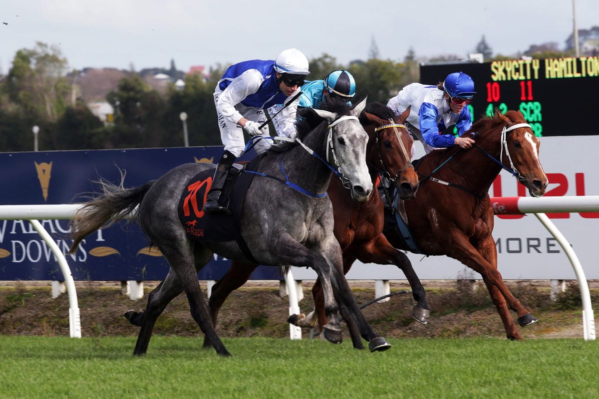 Te Rapa specialist back on top at favourite venue