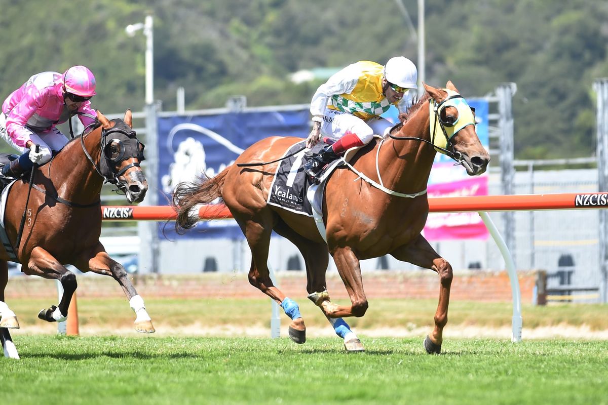 Tarzino Trophy fresh-up for Shadows Cast