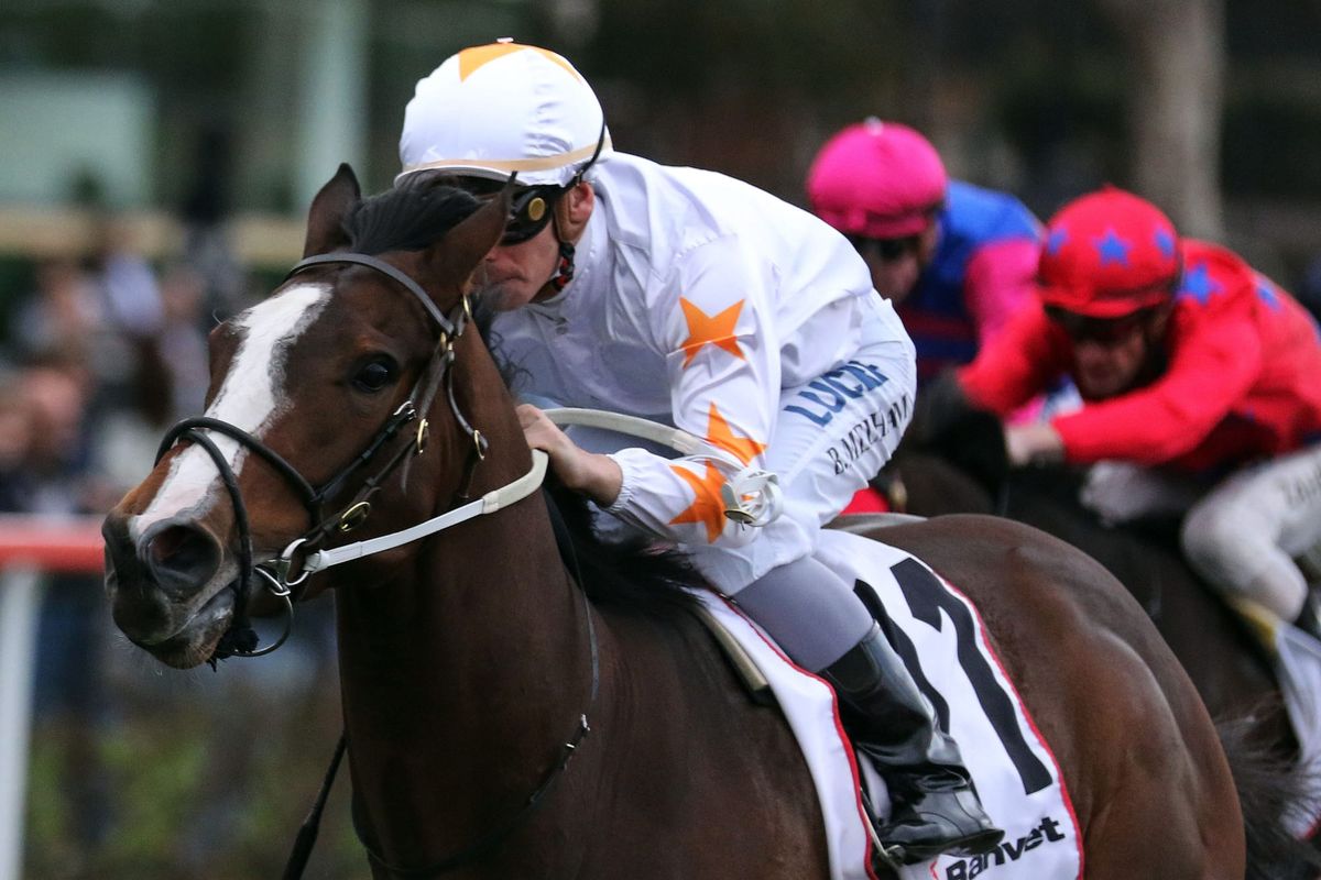 Tavisan lands betting move at The Valley