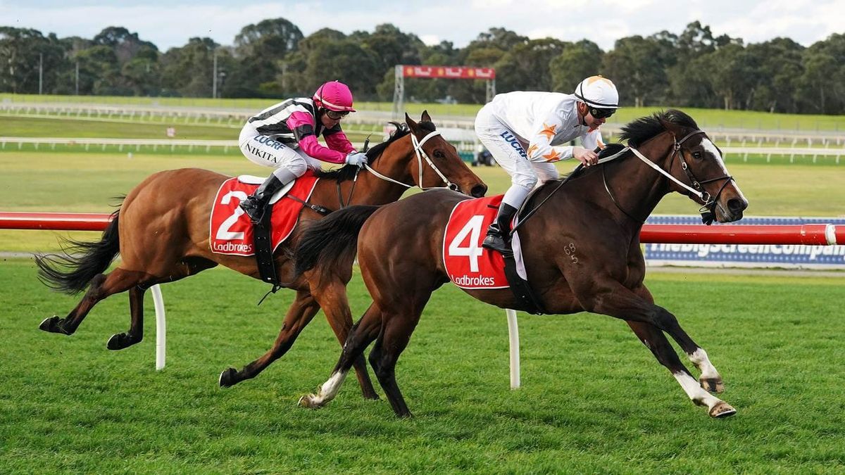 Tavisan set for small steps at The Valley