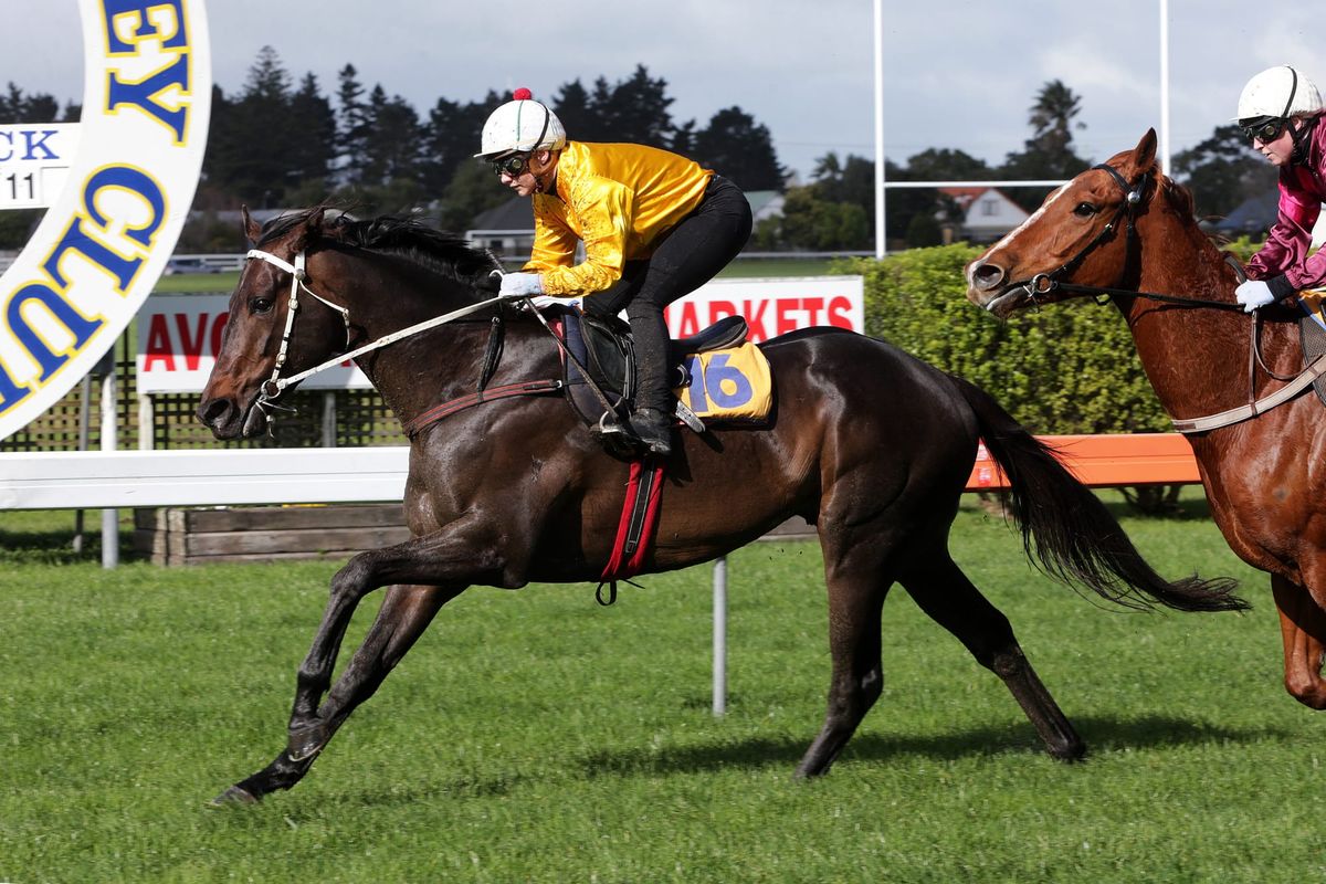 Big spring tipped for Vernanme