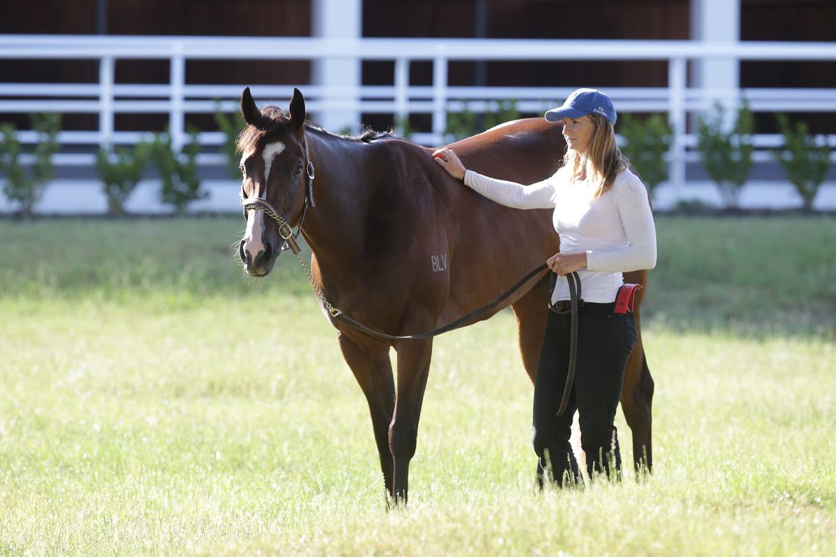 Group One assignment for Vigor Winner