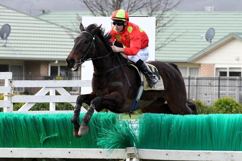 Gillies aims to bounce back in National