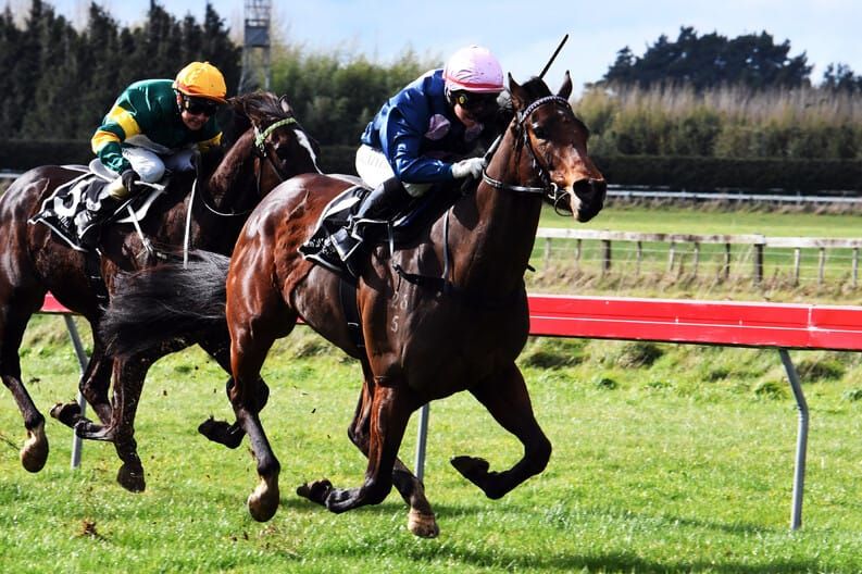 Thurlow unearths another promising mare
