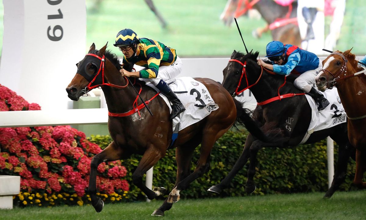 Lor hopes Furore can measure up against Beauty Generation
