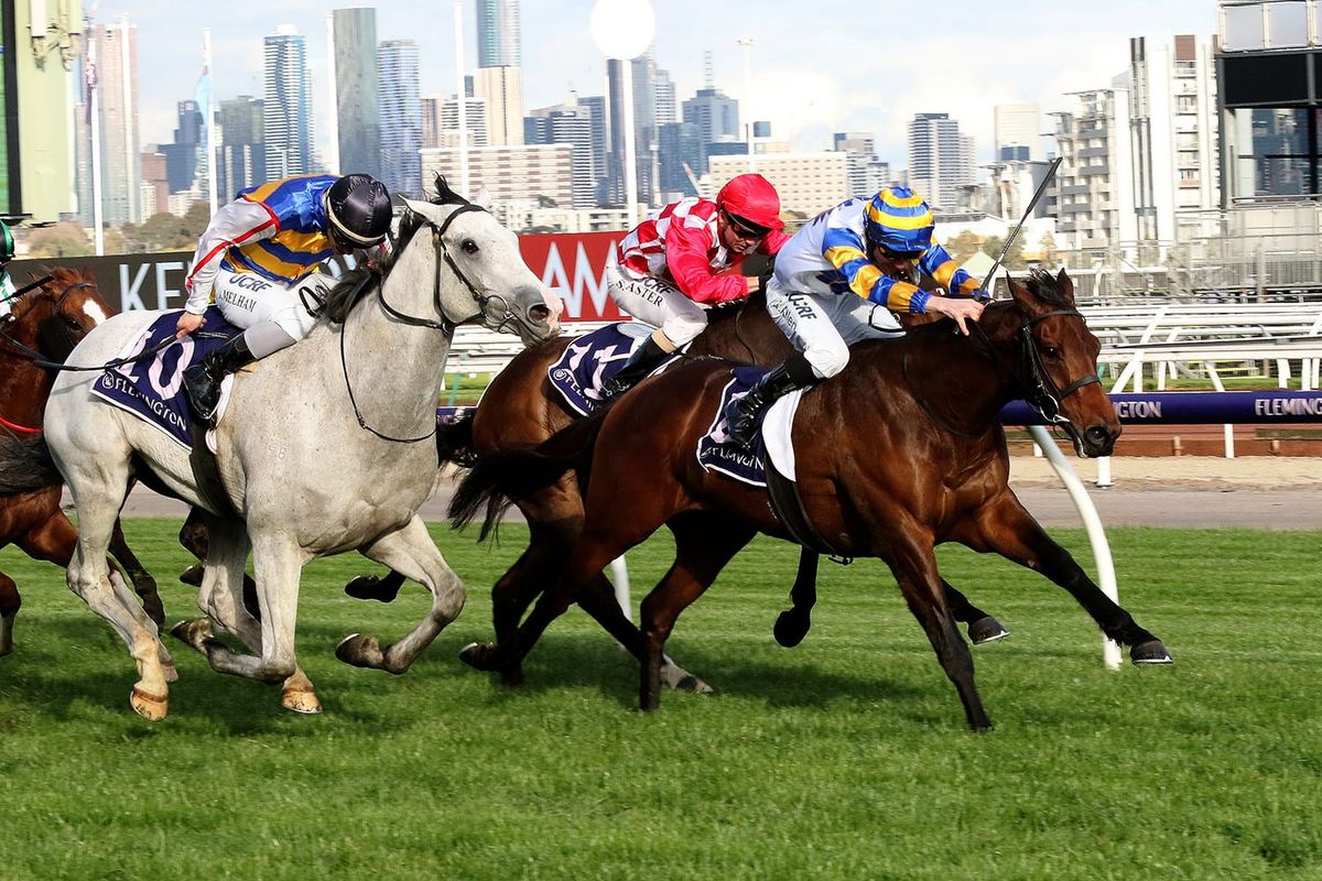 Derby trial winner a gavelhouse gem