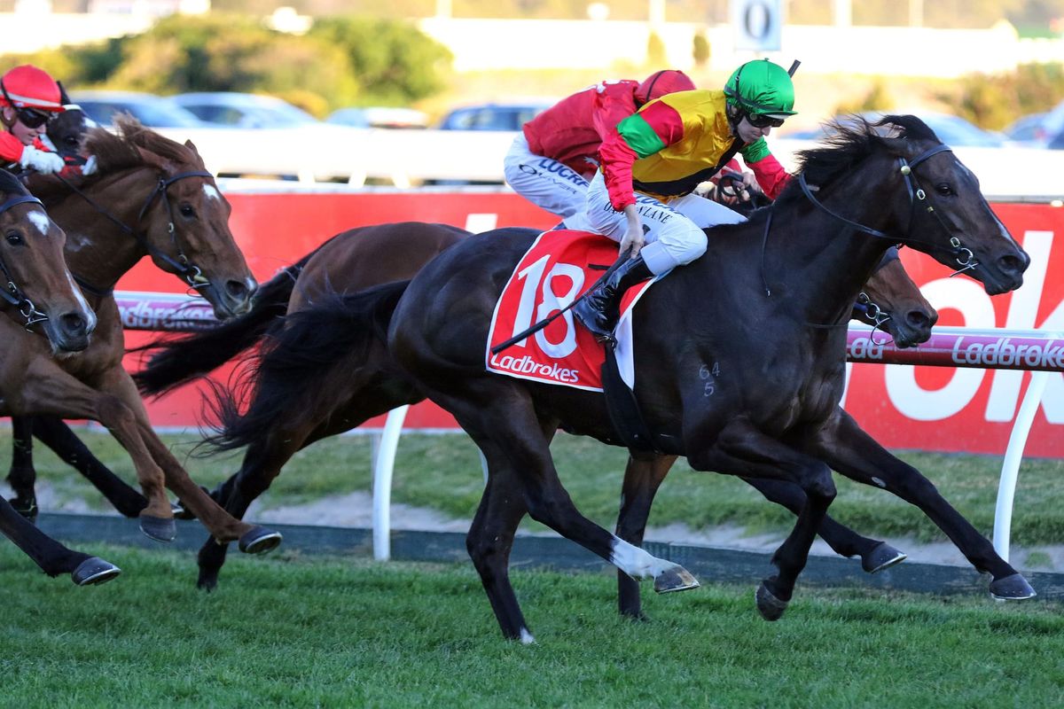 Age of Chivalry continues winning run