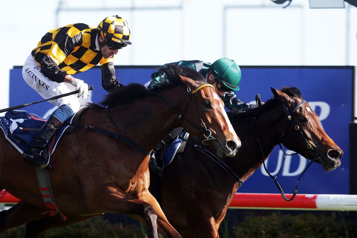 Aretha grabs Hastings feature in desperate finish