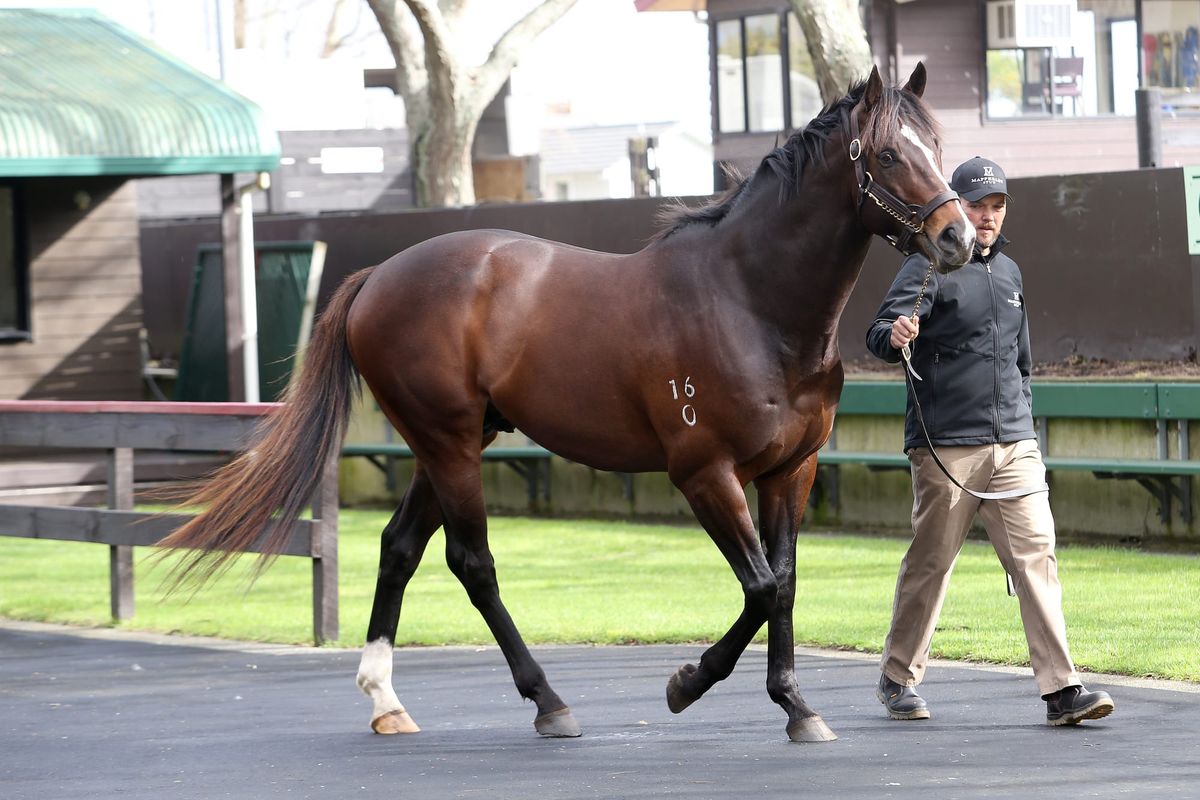 Stakes success for ill-fated Atlante