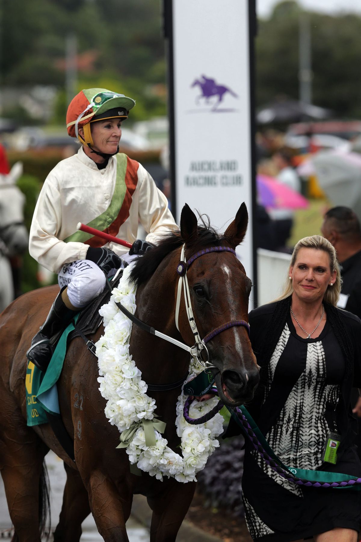 Warhorse, Authentic Paddy retired