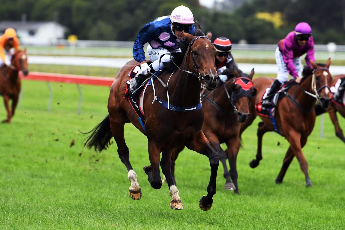 Waverley Cup to launch another Group One bid
