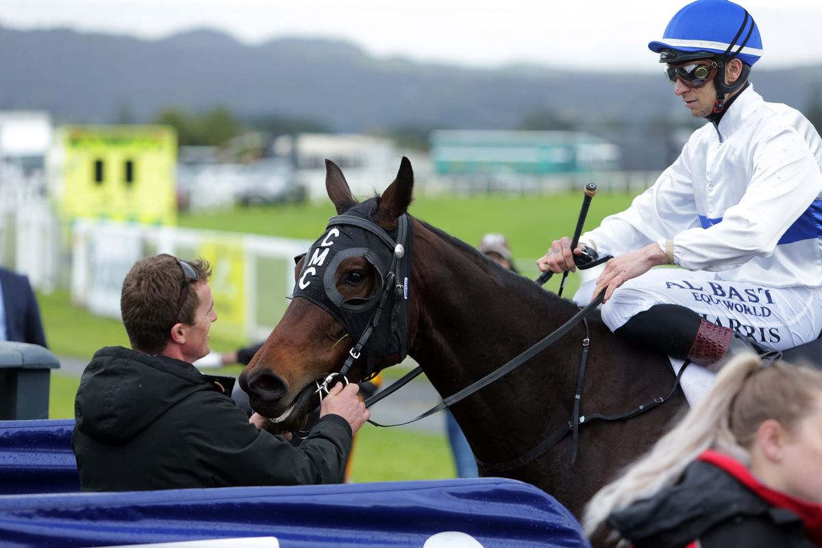 Catalyst brilliant in Northland Breeders’ Stakes