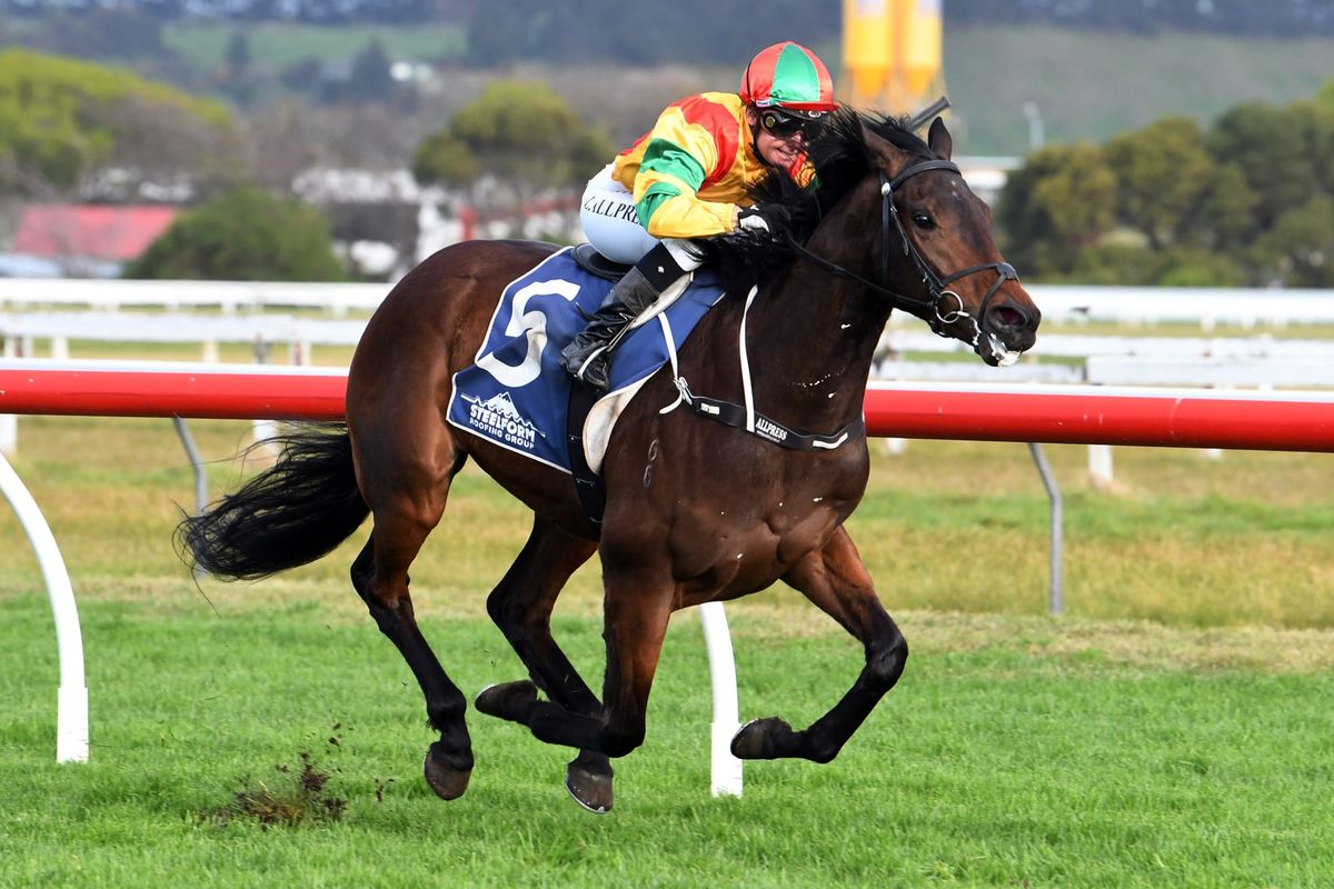 Cooga Doon wins Wanganui Guineas