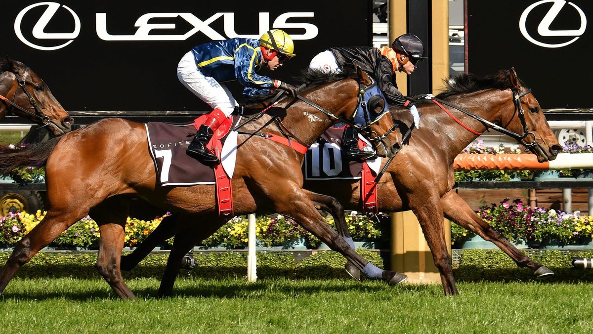 Rox The Castle takes step to stakes grade