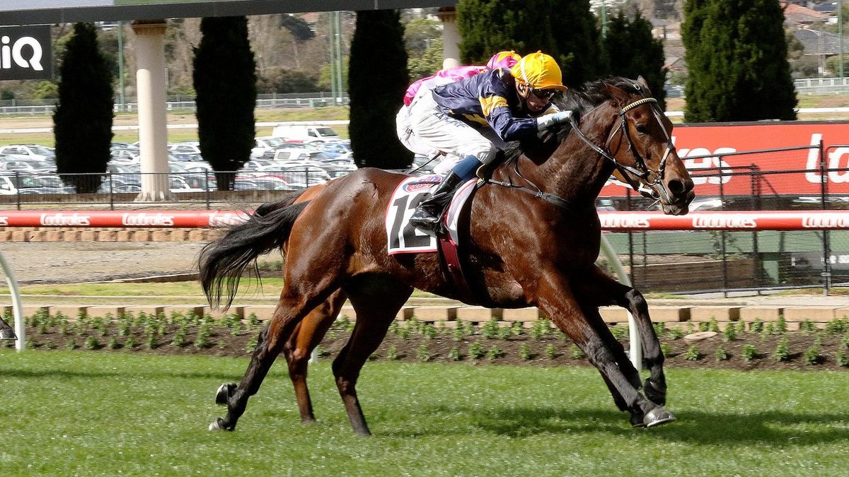 Tofane chasing stakes victory at Caulfield