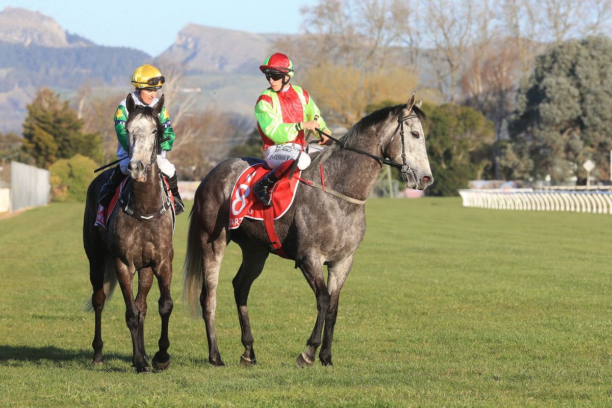 Late Windsor Park Plate entry for Helena Baby