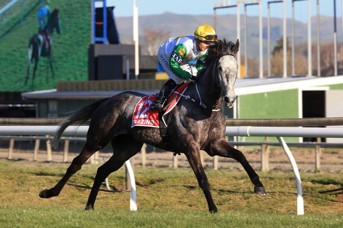 Danzdanzdance launches Sydney raid