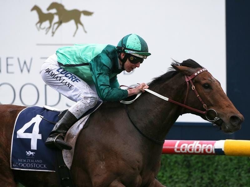 Underwood next step for Humidor, Kenenda