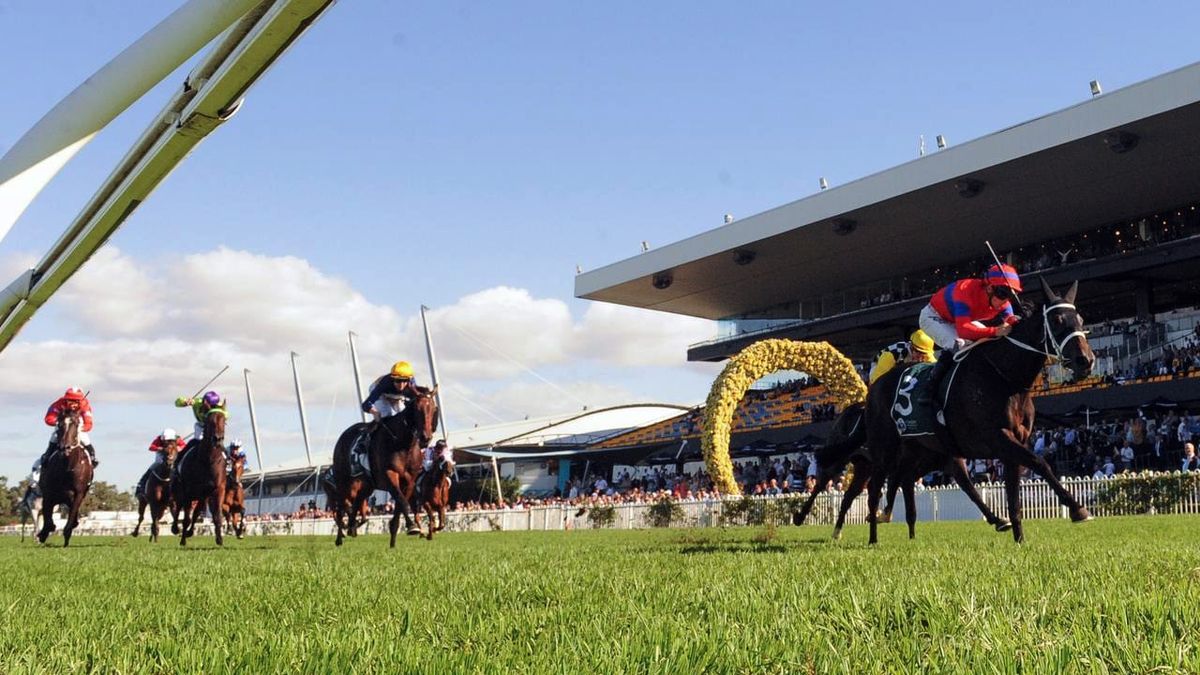 George Main to decide Verry Elleegant path