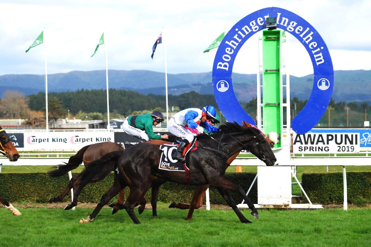 Herengawe proves too tough in Awapuni feature