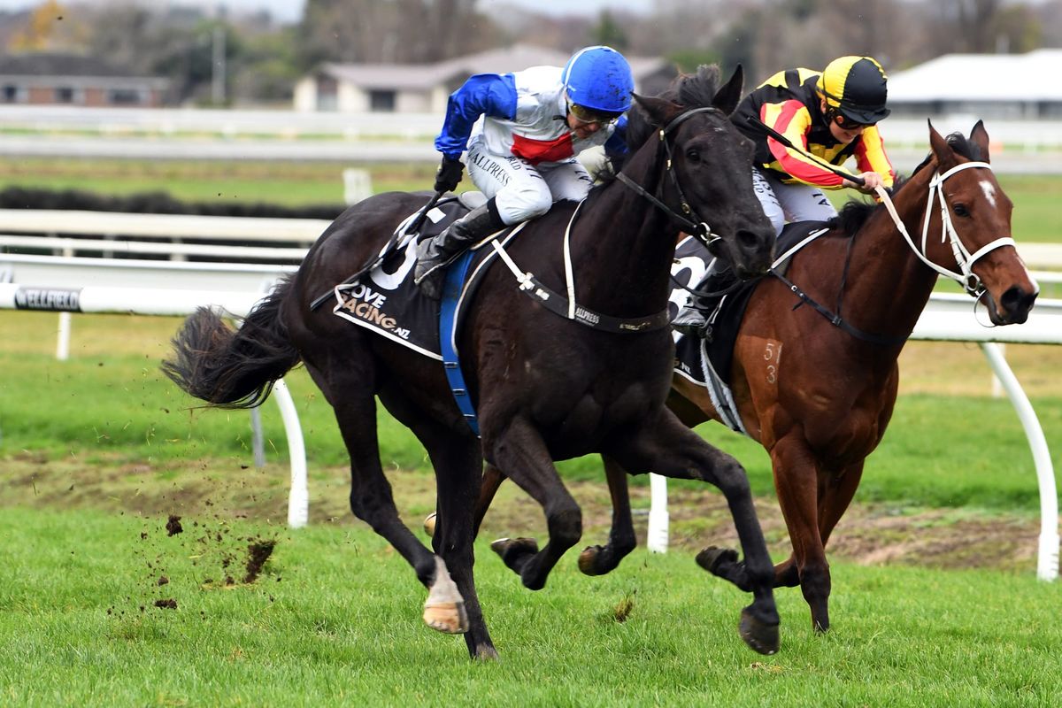 Cream rising to the top for Waverley couple