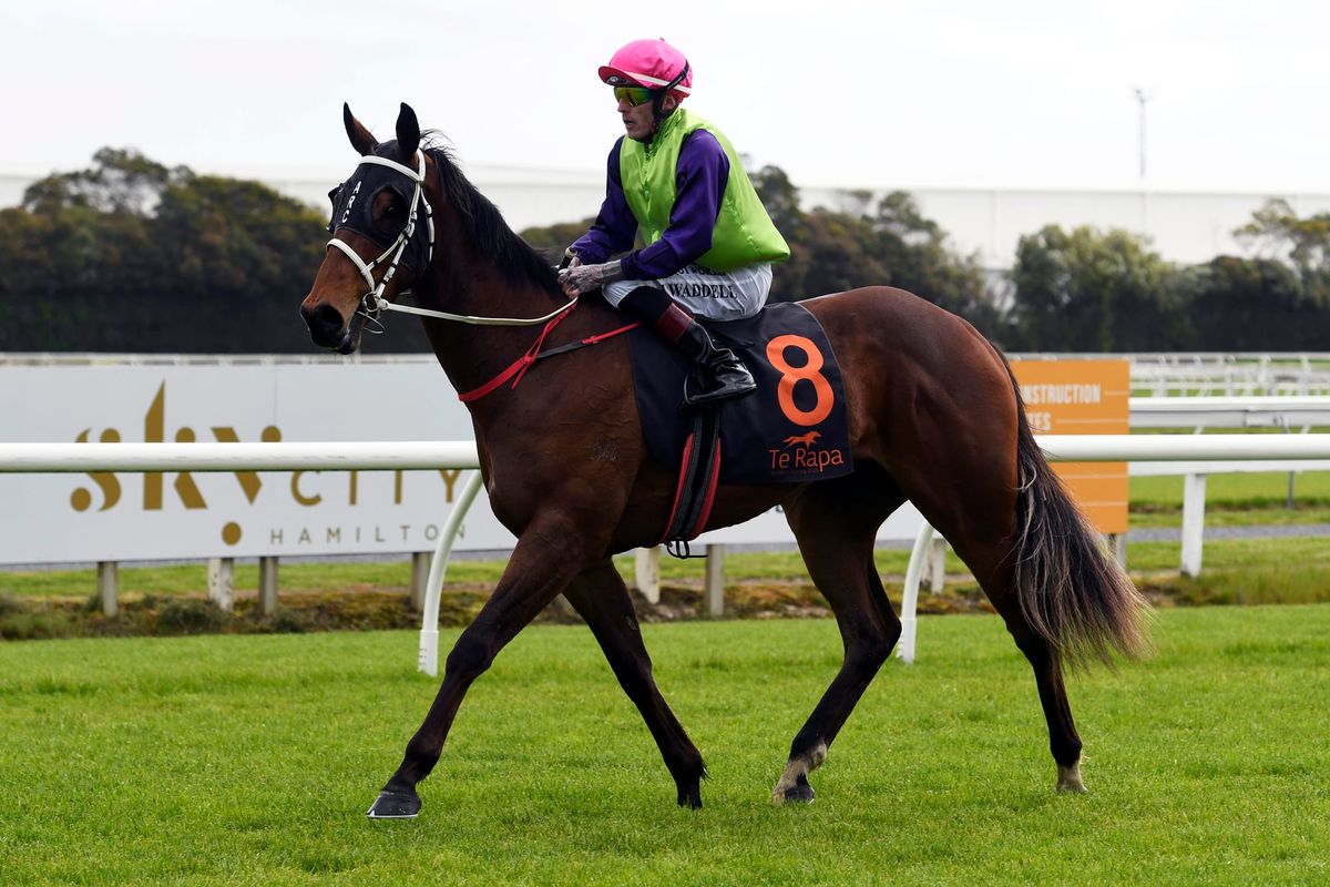Welcome change of luck deserving for Campbell