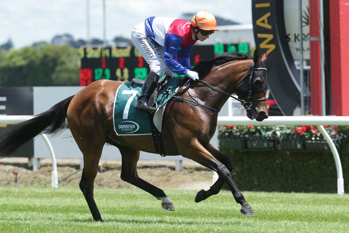 Cornege cruising along with promising gallopers