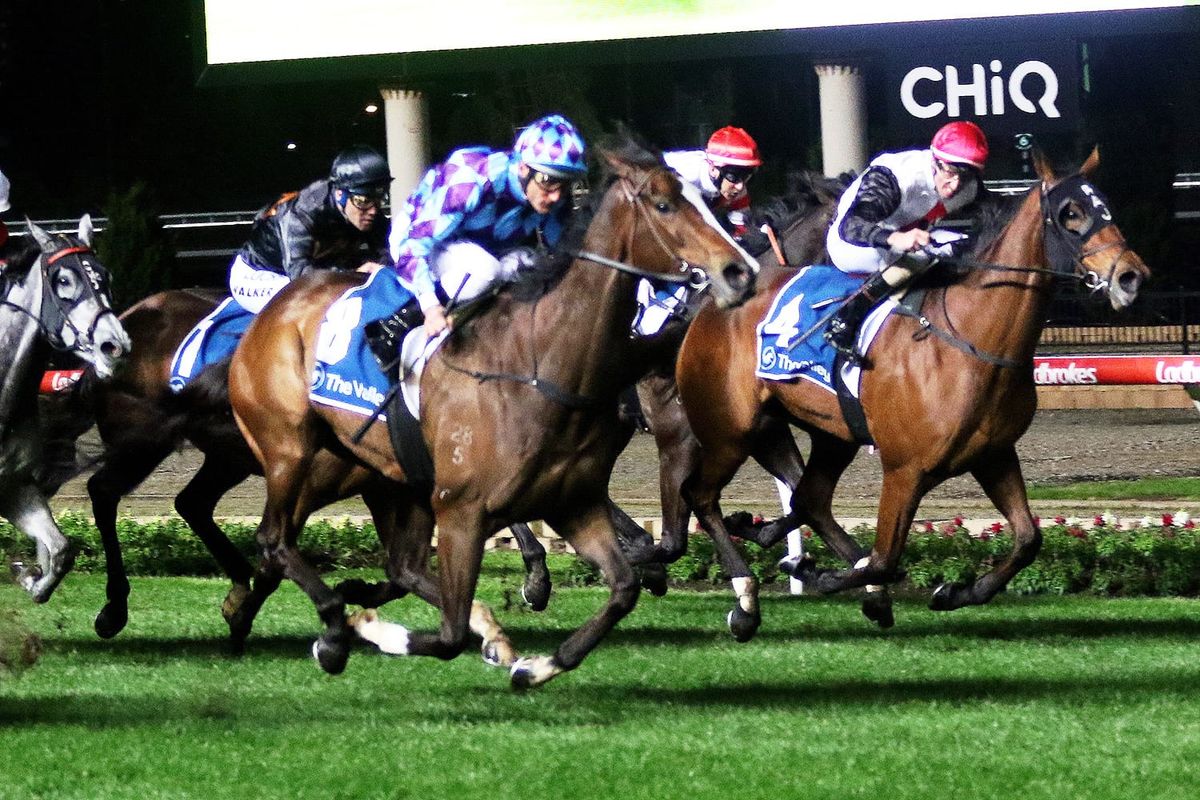 James pleased with Rondinella’s Melbourne debut