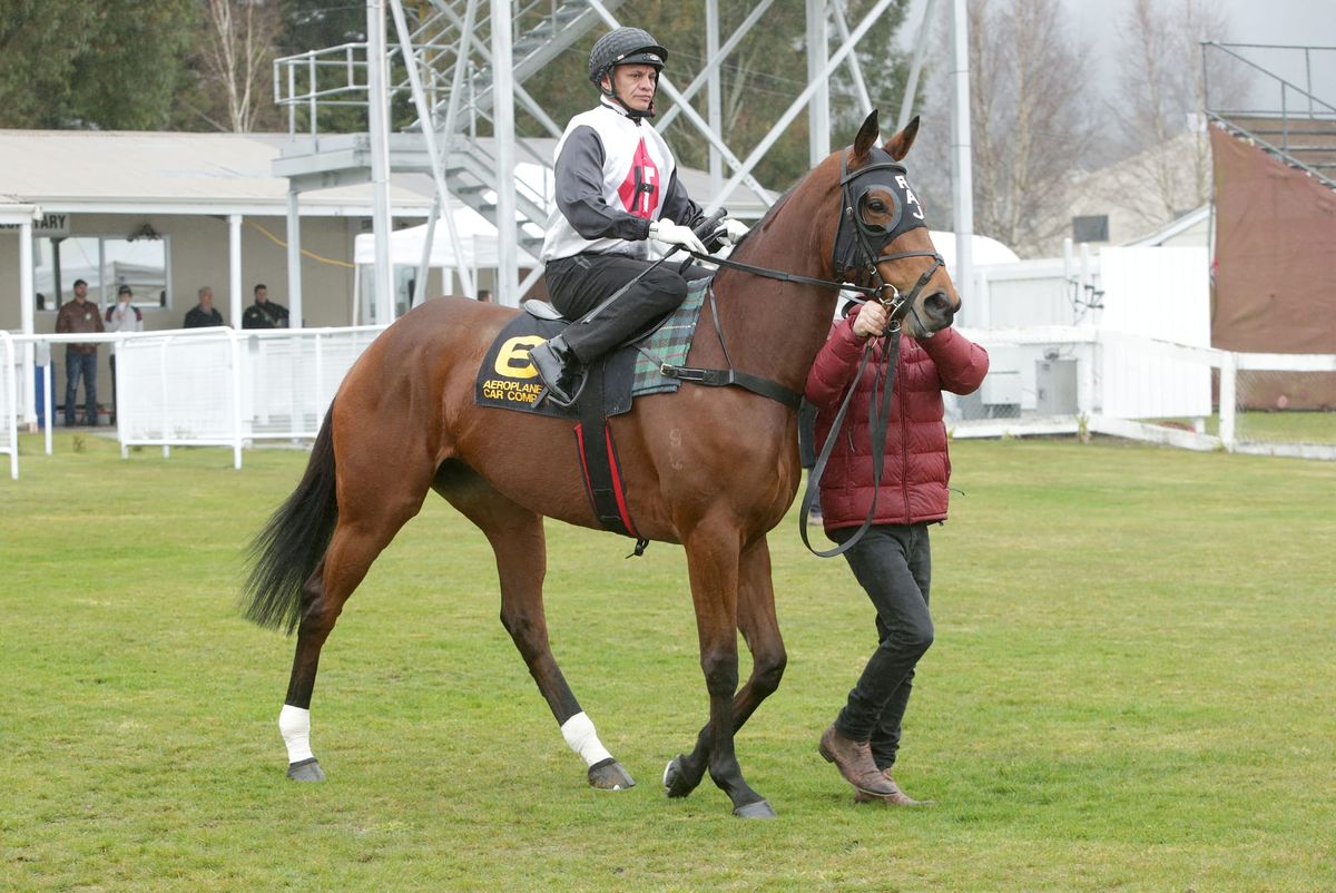 Rondinella on Cox Plate path