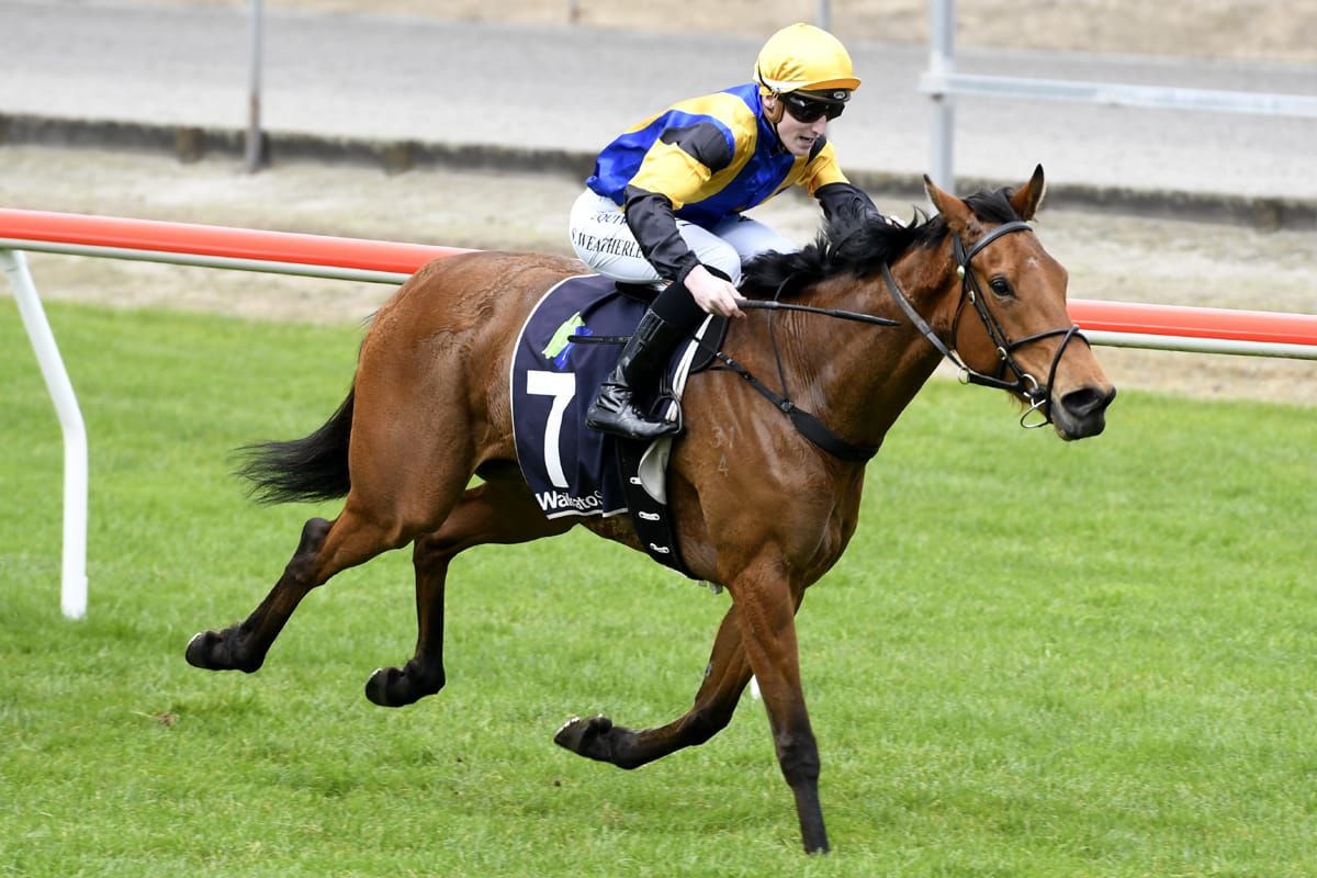 Father and son combine for win