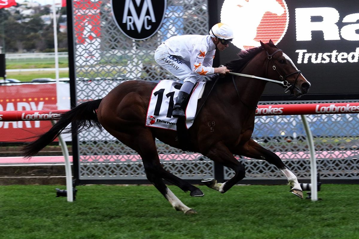 Tavisan aiming for first stakes scalp