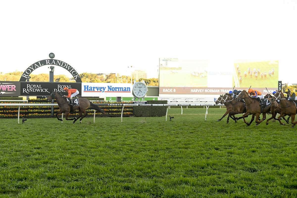 Pleasing results for kiwi contingent in Australia